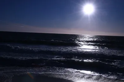 DSC_0702 (Large).JPG